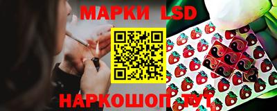 стафф Будённовск