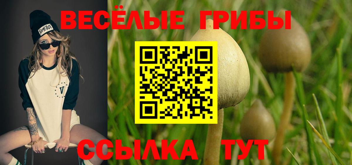 Галлюциногенные грибы GOLDEN TEACHER  Псилоцибиновые грибы мухоморы  Вход с VPN  Кудрово 