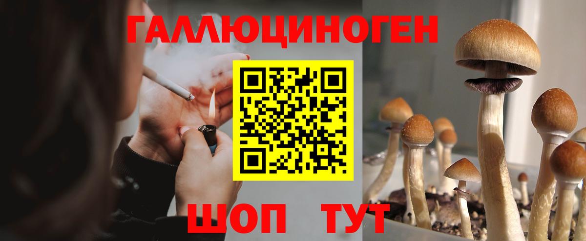 Галлюциногенные грибы Magic Shrooms Кудрово